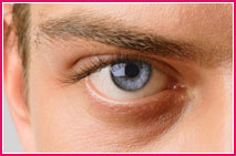 Oog